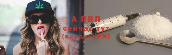 крисы Алексин