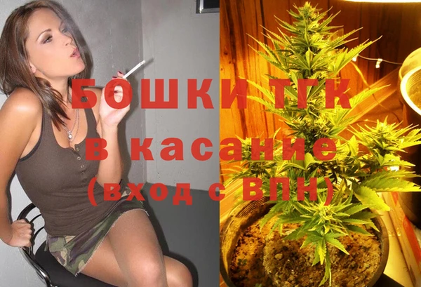 крисы Алексин